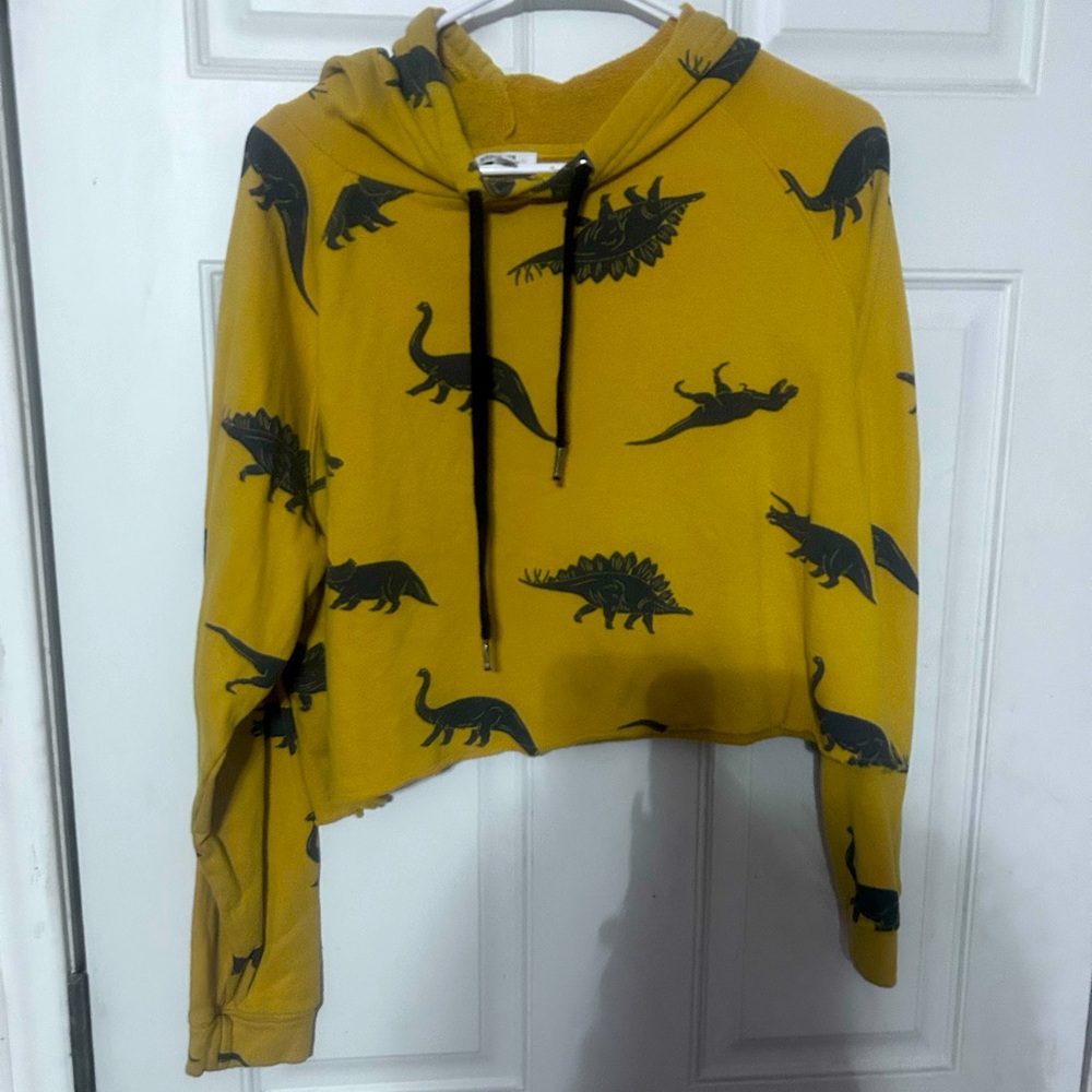Fun Dino cropped hoodie